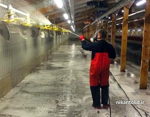 آهک مرغداری